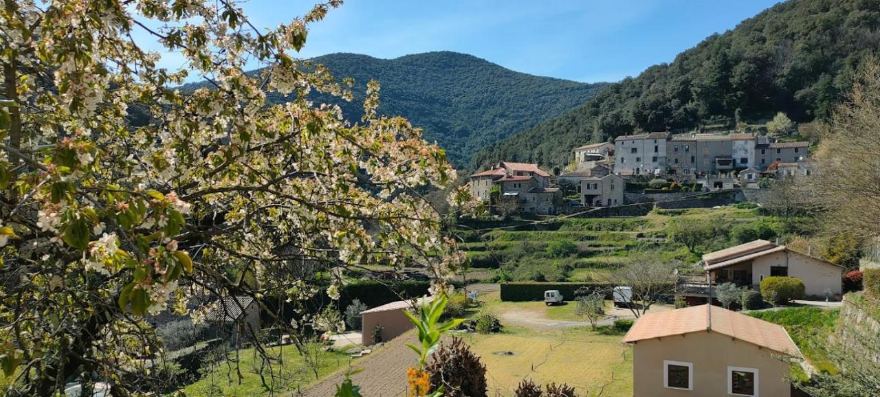Notre-Dame-de-la-Rouvière Maisonette En Cevennes מראה חיצוני תמונה
